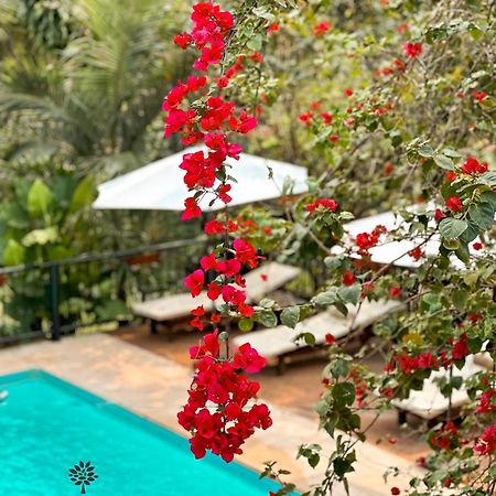 Mediterraneo Suites Πουέρτο Ιγκουασού Εξωτερικό φωτογραφία